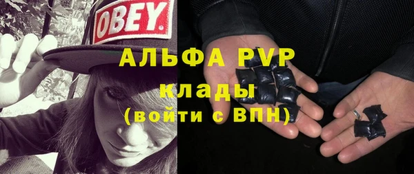 спиды Белокуриха