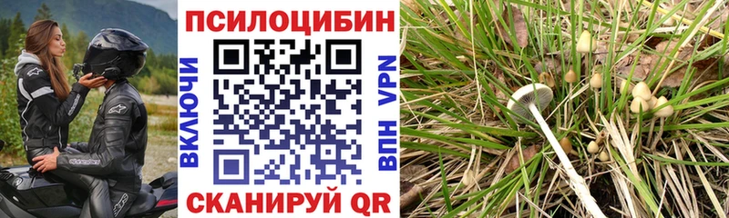купить наркотик маркетплейс состав кракен зеркало Псилоцибиновые грибы MAGIC MUSHROOMS Кыштым